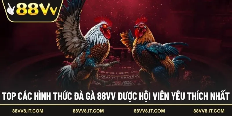 Top các hình thức đà gà 88VV được hội viên yêu thích nhất